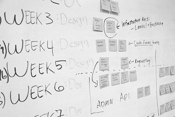 Media buying & planning